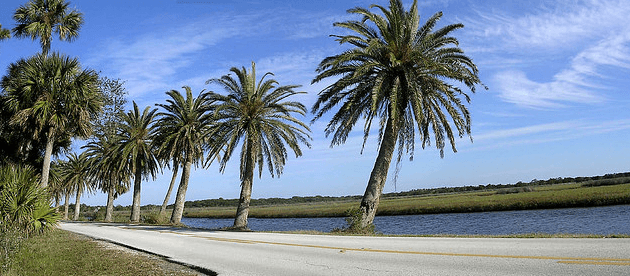 A Historic Watery Attraction: the Flagler Beach Fishing Pier