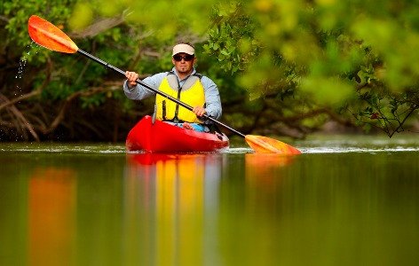 Local Kayaking Tours in Ormond and Beyond - river kayak