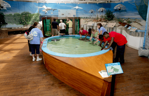 Marine Science Center: Learning About Our Local Marine Life