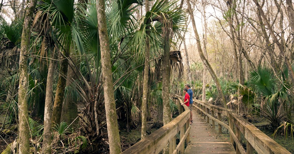 Explore Plantation Bay’s Neighboring Florida State Parks