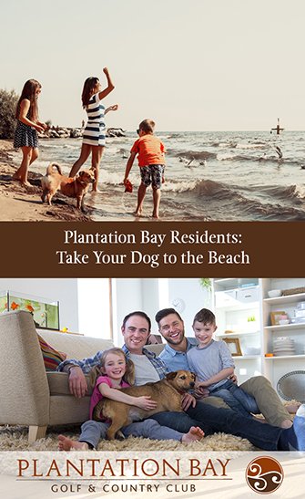 Plantation Bay Residents: Take Your Dog to the Beach