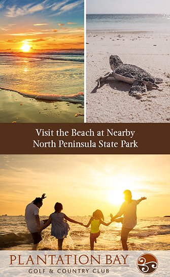 Visit the Beach at Nearby North Peninsula State Park