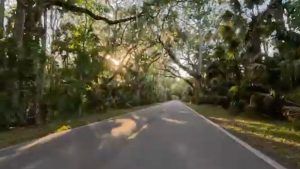 Only in Ormond: Five Unique Places Near Plantation Bay