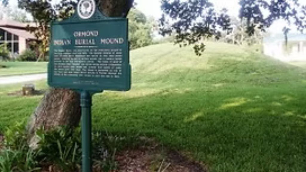 All Aboard: Historical Bus Tours of Plantation Bay’s Hometown - PB Bus Tour