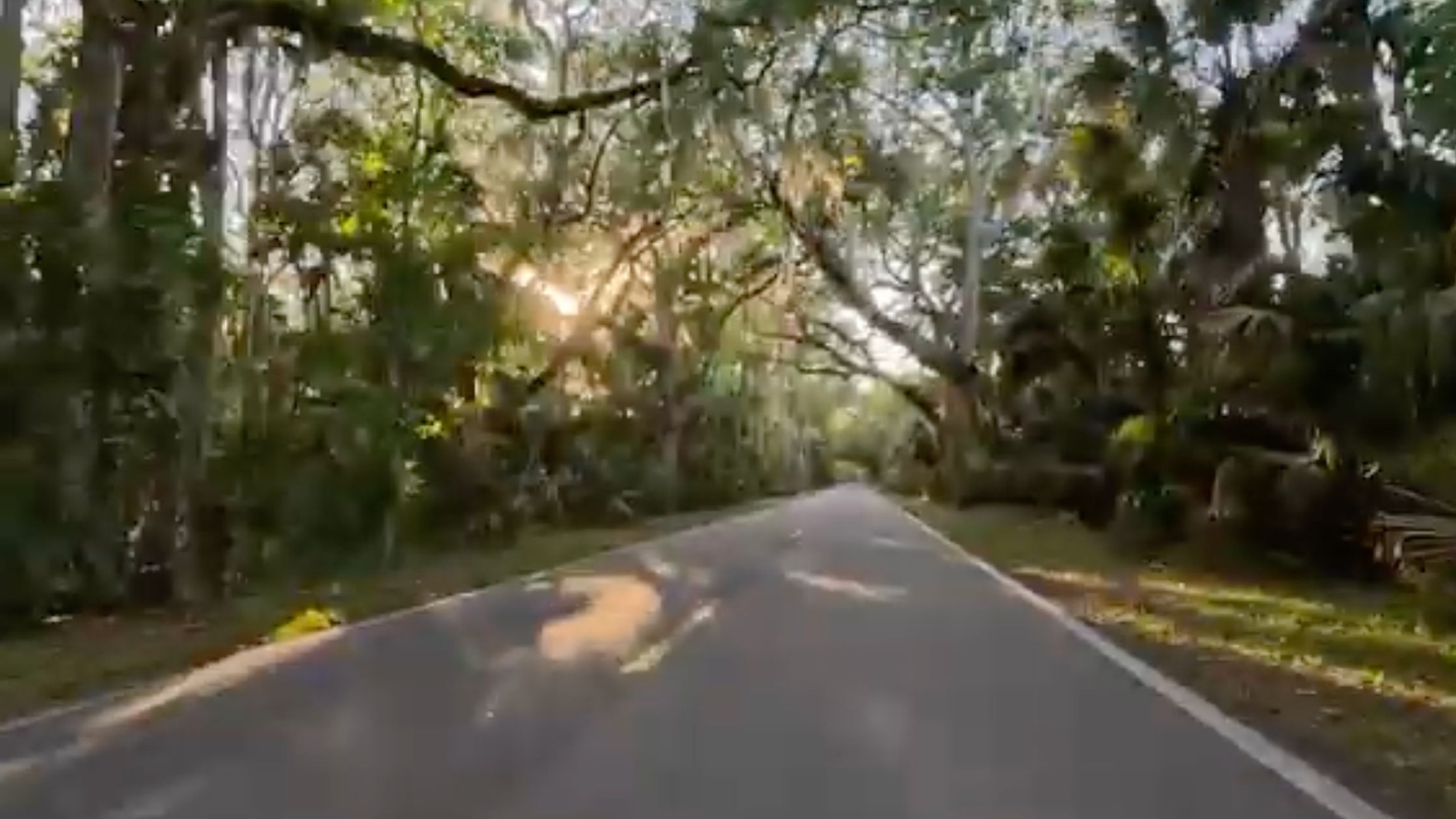 Only in Ormond: Five Unique Places Near Plantation Bay - PB